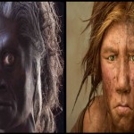 Otras humanidades: Neandertales y curiosidades…