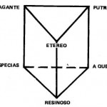 Olor de santidad (osmóforos)