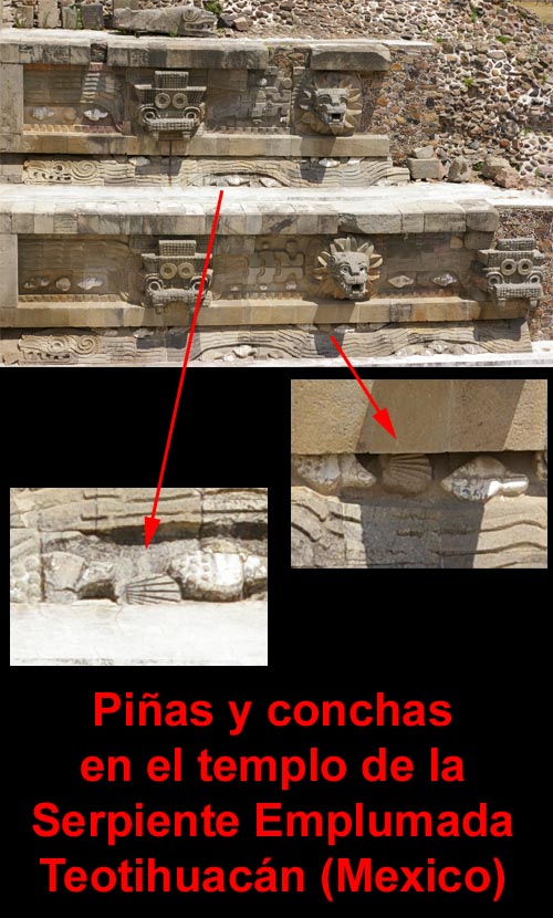 pinas_y_conchas_teotihuacan
