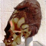 El inicial análisis de los cráneos de Paracas, demuestran resultados increíbles.