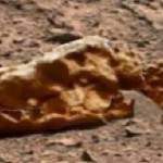 ¿Un Saurio Fosilizado en Marte?