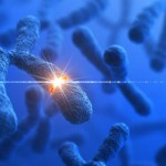 Mutaciones genéticas en humanos