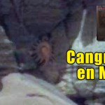 Cangrejos en Marte