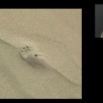¿Ha encontrado NASA pruebas de vida en Marte?