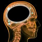 El cerebro humano está vacio… de información
