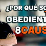 ¿Por qué Somos tan Obedientes?