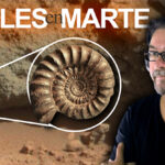 Fósiles en Marte y NASA ni se Entera
