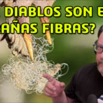 ¿Qué Diablos son estas Extrañas Fibras?