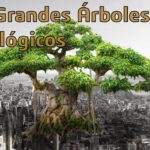 Los Grandes Árboles Mitológicos (¿Dónde y cómo descubrir sus restos?)